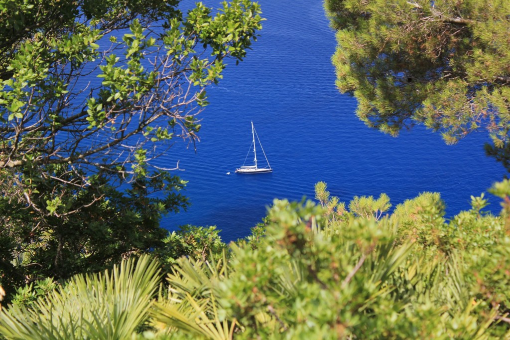 IMG 0364 1024x682 So schön kann Mallorca sein